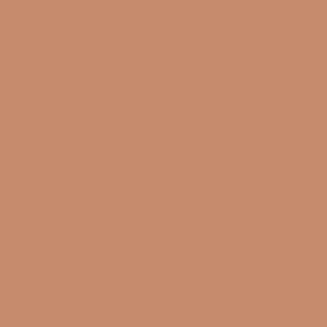 Kolor Panton - Jasny brąz - Tawny Birch