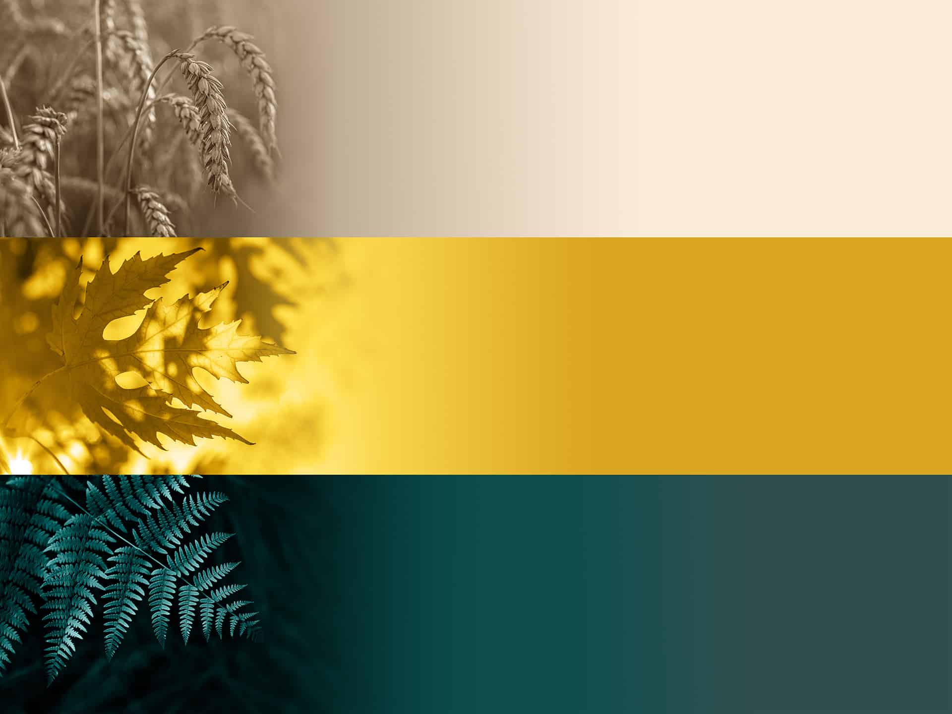 Kolory roku 2021 we wnętrzach - modne trendy | Blog Balticwood