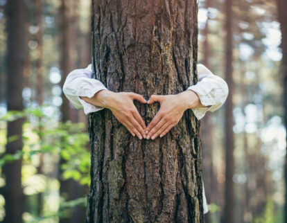 Baltic Wood jako eko marka: jak dbamy o zdrowie klientów i planety?